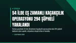 54 İlde Eş Zamanlı Kaçakçılık Operasyonu 294 Şüpheli Yakalandı
