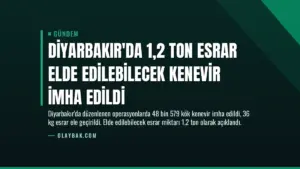 Diyarbakır’da 1,2 Ton Esrar Elde Edilebilecek Kenevir İmha Edildi