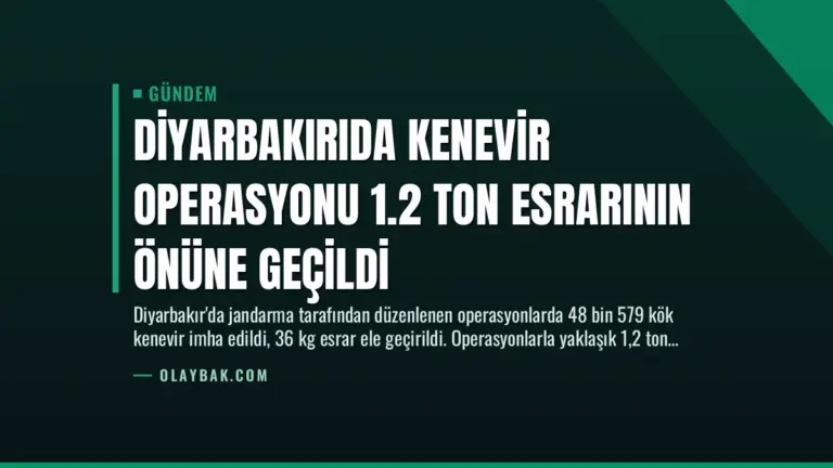 Diyarbakırıda Kenevir Operasyonu 1.2 Ton Esrarının Önüne Geçildi