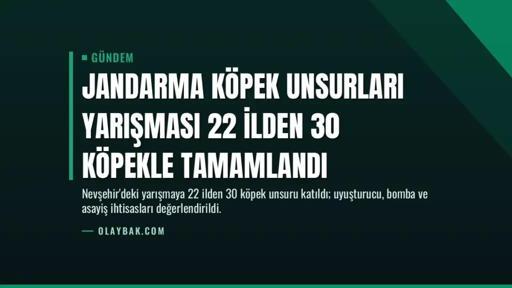 Jandarma Köpek Unsurları Yarışması 22 İlden 30 Köpekle Tamamlandı