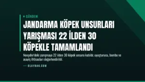 Jandarma Köpek Unsurları Yarışması 22 İlden 30 Köpekle Tamamlandı