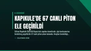 Kapıkule’de 67 Canlı Piton Ele Geçirildi
