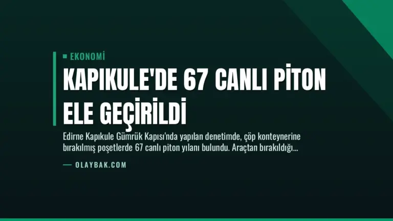 Kapıkule’de 67 Canlı Piton Ele Geçirildi
