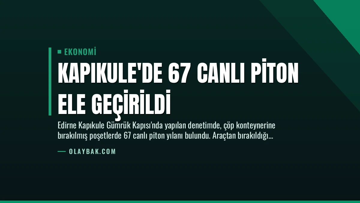 Kapıkule’de 67 Canlı Piton Ele Geçirildi